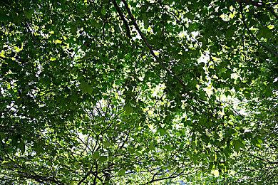 Metacritic显示《神秘海域：盗贼传奇合辑》PC版 6月20日发售